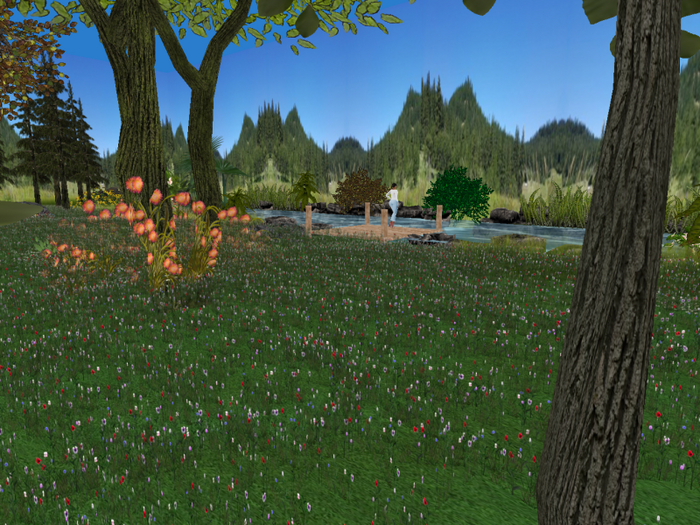 BEAUTI RIVER SKYBOX REZZBOX
