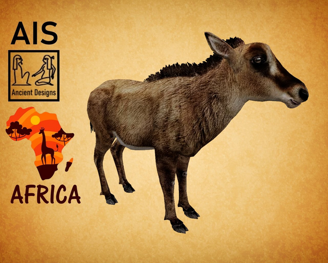 Sable Antelope Young