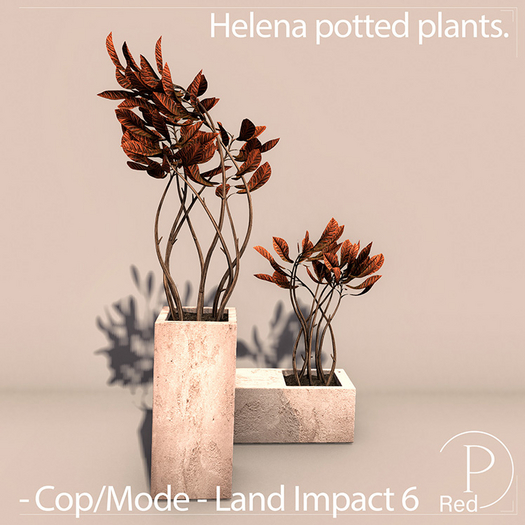 P.ReD. Helena potted plants. - Box