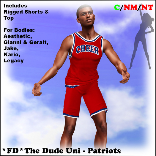 *FD* The Dude Uniform [Boxed] Patriots
