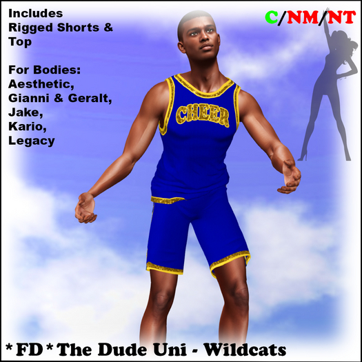*FD* The Dude Uniform [Boxed] Wildcats
