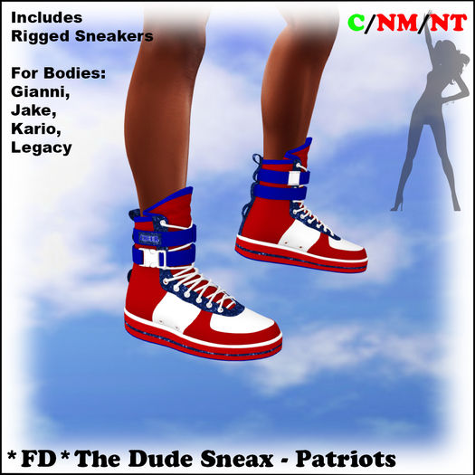 *FD* The Dude Sneax [Boxed] Patriots