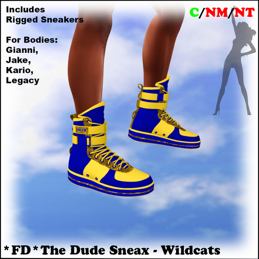 *FD* The Dude Sneax [Boxed] Wildcats