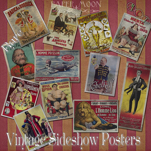 *pm* Carnival Posters - Herta