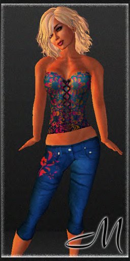 H.o.M Summer Corset Outfit
