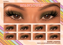 + wildflower barb lashes (clover megalash)
