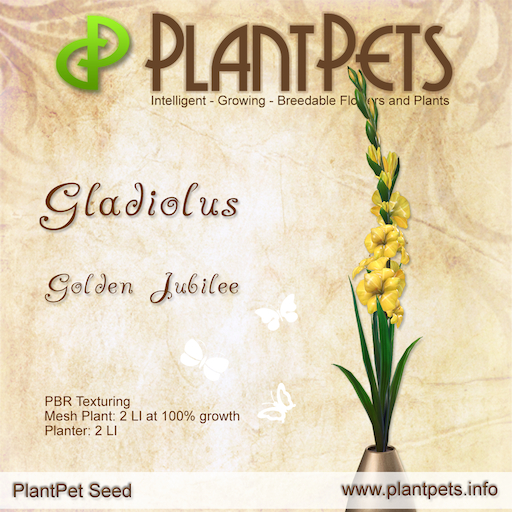 PlantPet Seed [Gladiolus *Golden Jubilee*] Common