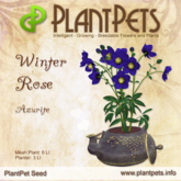 PlantPet Seed [Winter Rose *Azurite*] Common