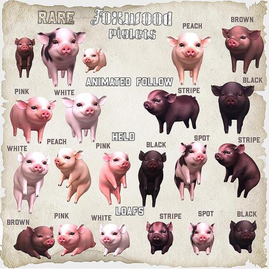 Foxwood - Piglets - Pink
