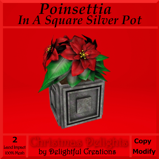 Poinsettia in Square Silver Pot