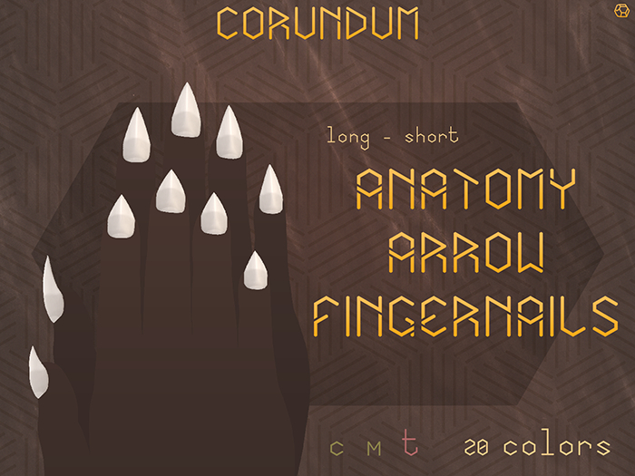 CORUNDUM - Arrow Fingernails - Anatomy