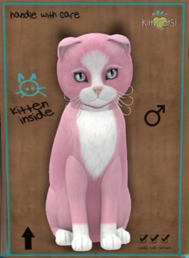 9T KittyCatS Box - Chateau Cat - Pink & White No. 1 (male)
