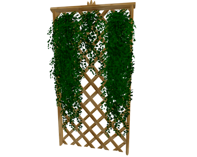 Trellis IVY 2025