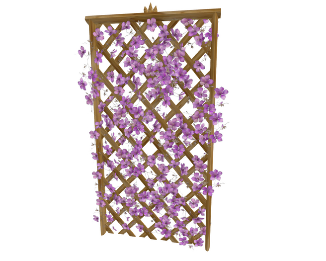 Trellis Purple Flowers 2025