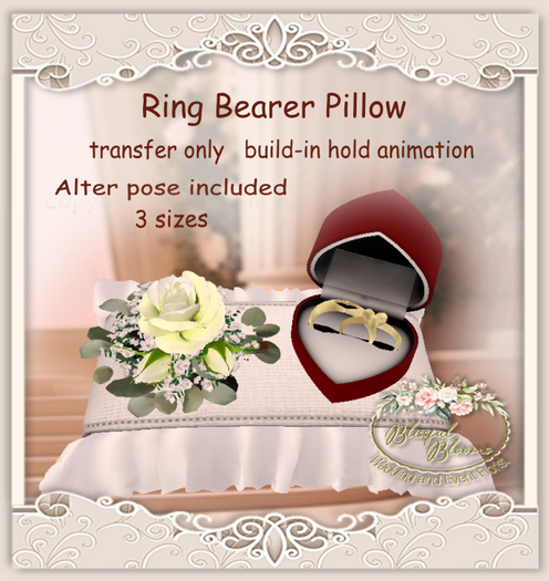 BB.. Ring Bearer Pillow - M  white DEMO