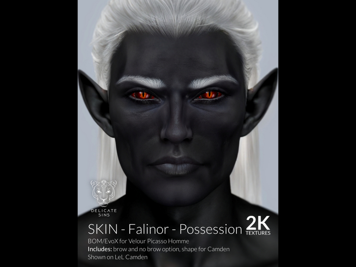 {DS} - Skin - Falinor - POSSESSION 2K