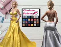 Charisma Canberra Formal Dress DEMO