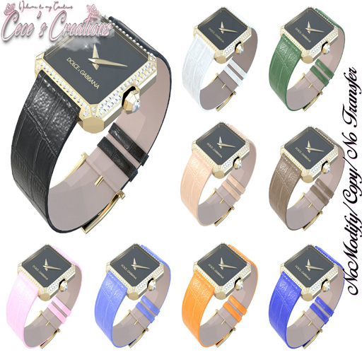 [CC] Dolce Gabbana Watch Blue