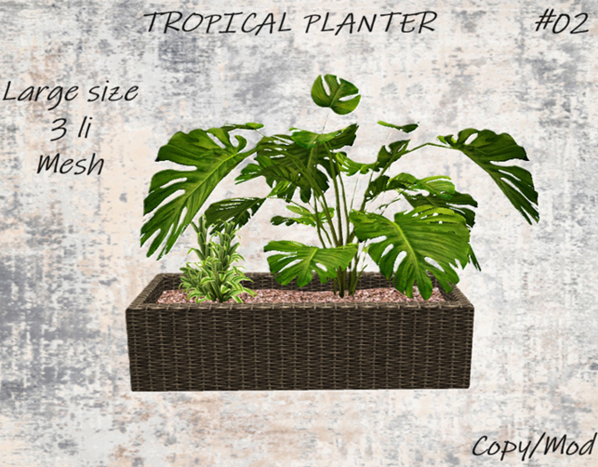 PLANTS - Tropical Planter #02