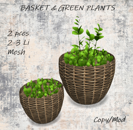 PLANTS - Basket & green plants #02