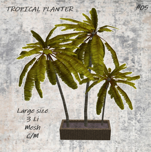 PLANTS - Tropical planter #05
