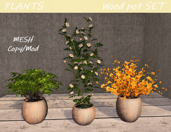 PLANTS - Wood pot SET