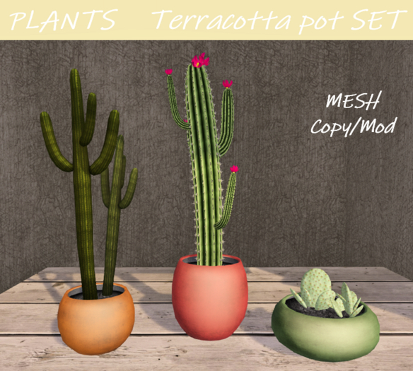 PLANTS - Terracotta pot SET
