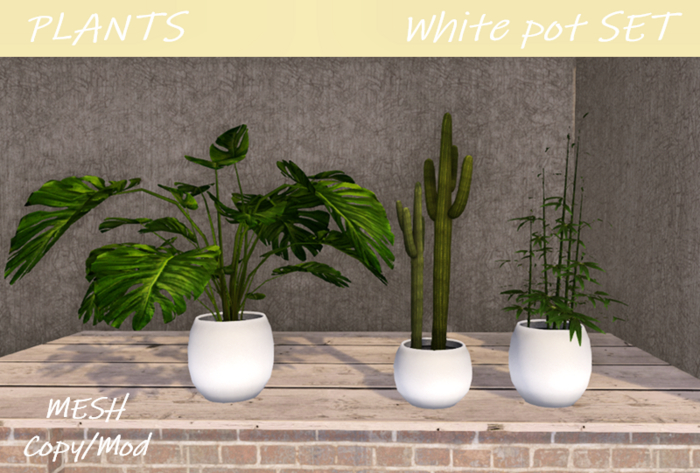 PLANTS - White pot SET
