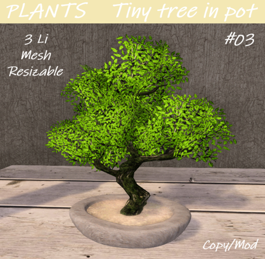PLANTS - Tiny tree in pot #03