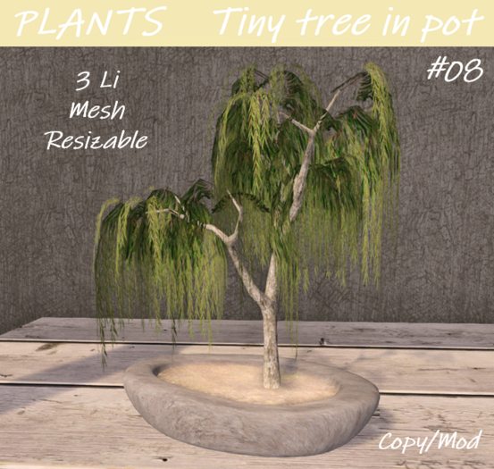 PLANTS - Tiny tree in pot #08