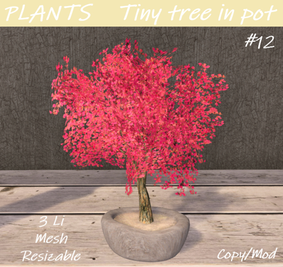 PLANTS - Tiny tree in pot #12