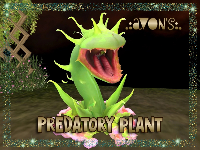.:AVON'S:. Carnivorous plant