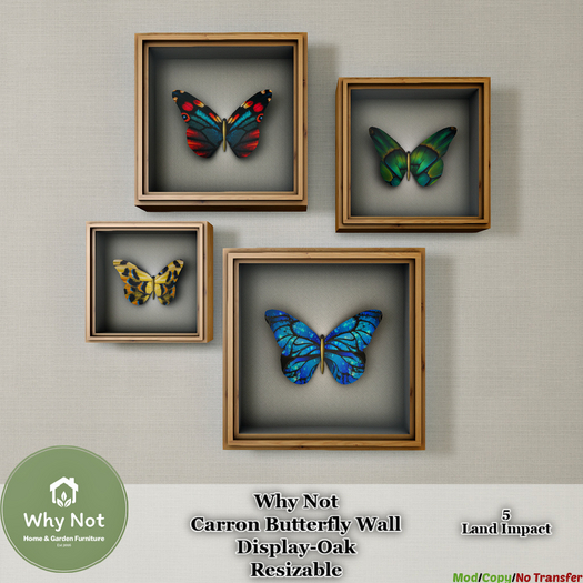 Why Not - Carron Butterfly Wall Display-Oak-Boxed