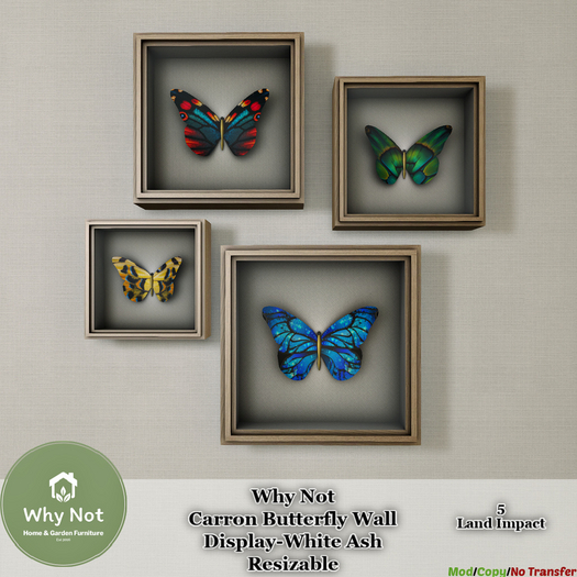 Why Not - Carron Butterfly Wall Display-White Ash-Boxed