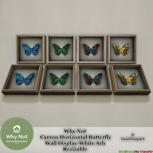 Why Not - Carron Horizontal Butterfly Wall Display-W Ash-Boxed
