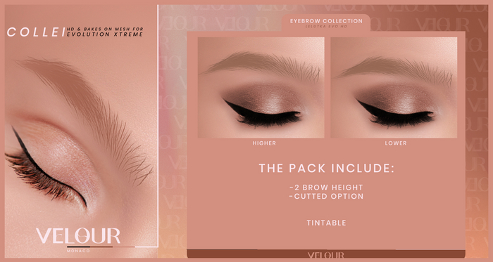 VELOUR "COLLEI" EYEBROW