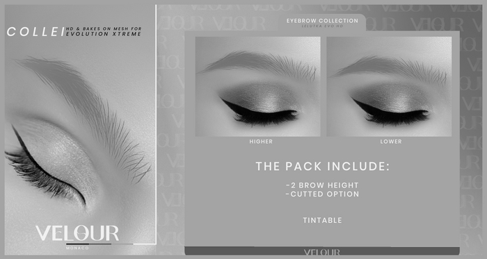 VELOUR "COLLEI" EYEBROW DEMO