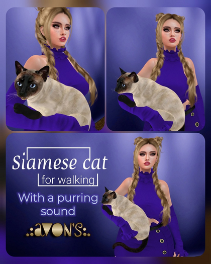 .:AVON'S:. Siamese cat (worn on hand)