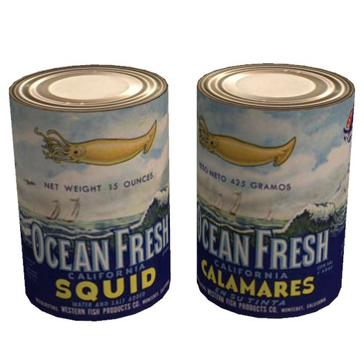 Canned Flying Squid