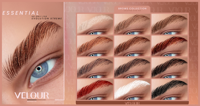 VELOUR "ESSENTIAL" BROWS