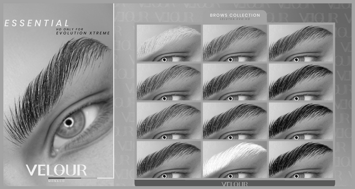 VELOUR "ESSENTIAL" BROWS DEMO