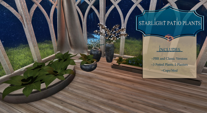 ^TD^Starlight Patio Plants