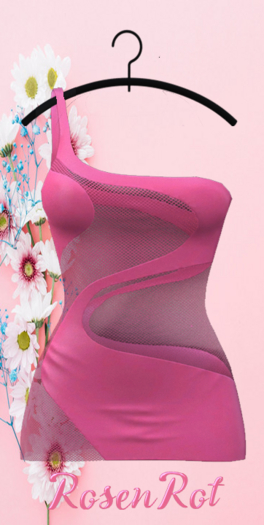 RosenRot - Nirvana Dress - 3