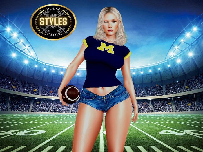 Michigan Wolverines Ladies Tee