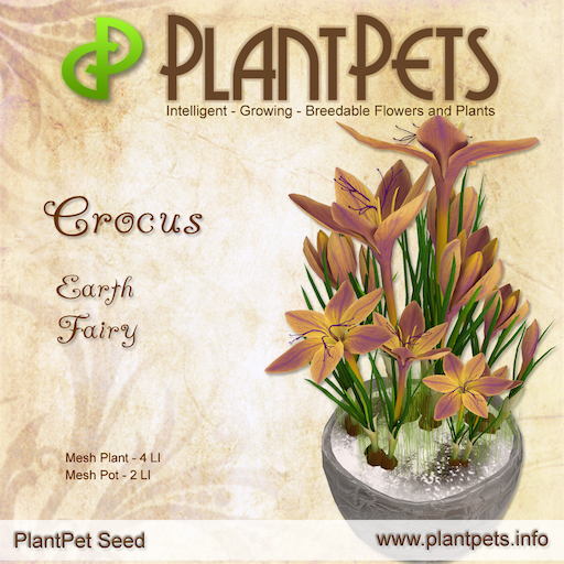 PlantPet Seed [Crocus *Earth Fairy*] Rare
