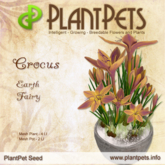PlantPet Seed [Crocus *Earth Fairy*] Rare