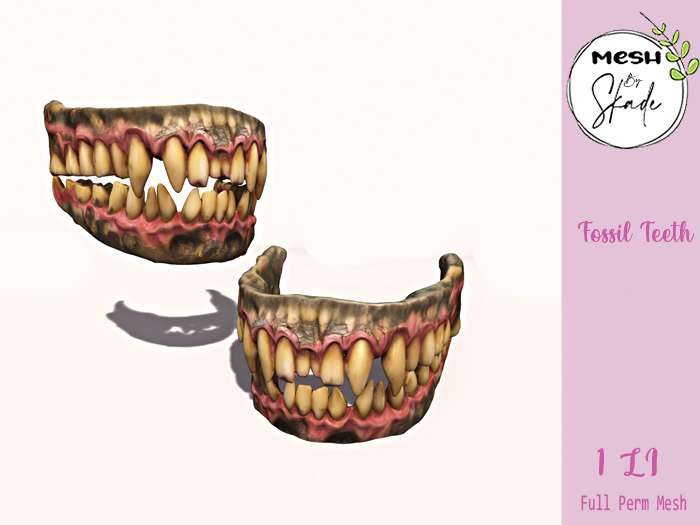 MBS - Fossil Teeth
