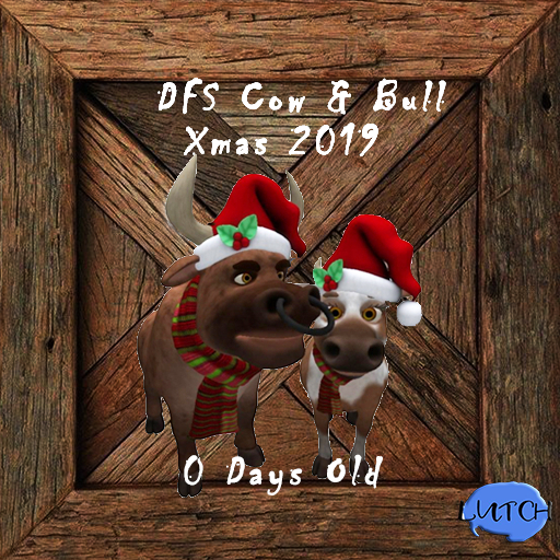 DFS Cow & Bull  Xmas 2019   RARE