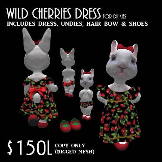 WILD CHERRIES CIRCULAR DRESS