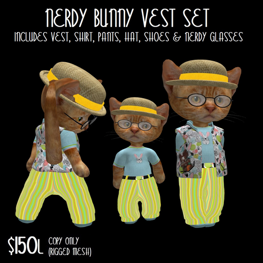 NERDY BUNNY VEST SET
